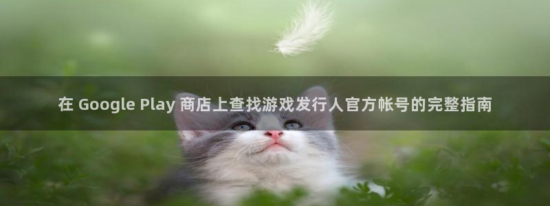 天辰用户注册：在 Google Play 商店上查找游戏发行人官方帐号的完整指南