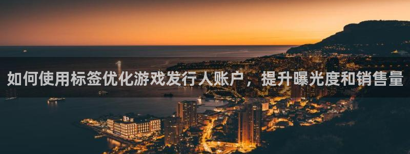 天辰平台用户登录不上去：如何使用标签优化游戏发行人账户，提升曝光度和销售量