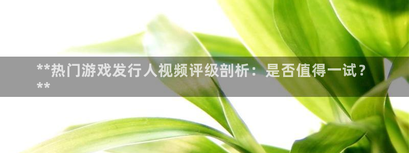 天辰平台怎么样赚钱的：**热门游戏发行人视频评级剖析：是否值得一试？
**