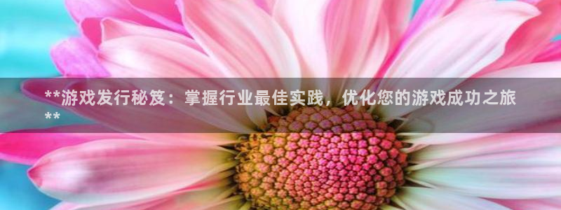 天辰娱乐平台是黑网吗还是白网：**游戏发行秘笈：掌握行业最佳实践，优化您的游戏成功之旅
**