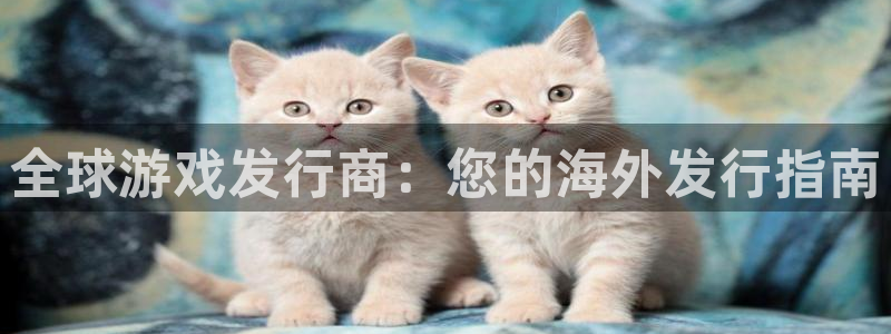 天辰娱乐客户端：全球游戏发行商：您的海外发行指南