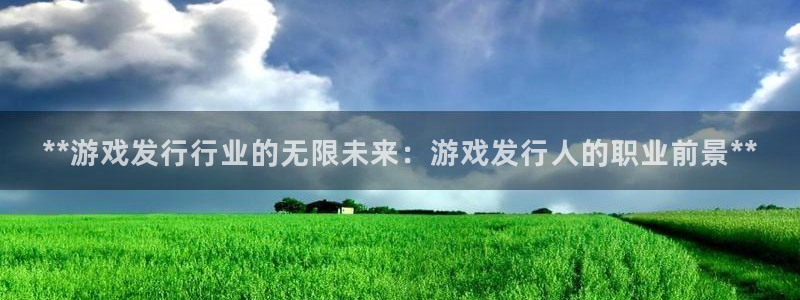 天辰平台专用通道安全稳定1i：**游戏发行行业的无限未来：游戏发行人的职业前景**