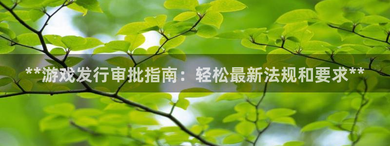 天辰测速登录：**游戏发行审批指南：轻松最新法规和要求**