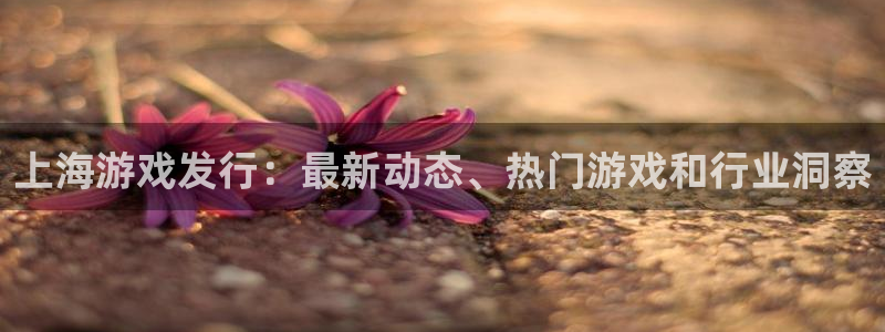 天辰平台会员多少钱：上海游戏发行：最新动态、热门游戏和行业洞察