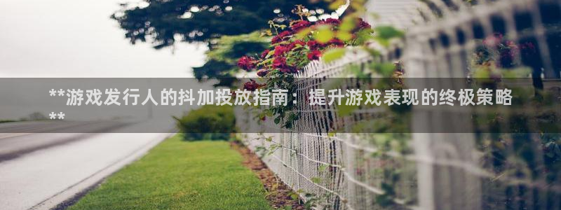 天辰平台怎么样可靠吗安全吗：**游戏发行人的抖加投放指南：提升游戏表现的终极策略
**