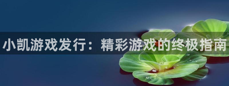 天辰平台态7O777：小凯游戏发行：精彩游戏的终极指南