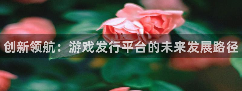 天辰网络