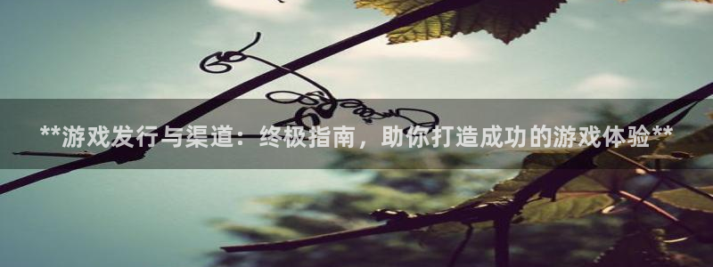 天辰信息网登录：**游戏发行与渠道：终极指南，助你打造成功的游戏体验**