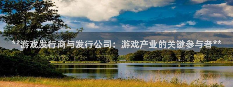 天辰平台测速登录失败怎么办：**游戏发行商与发行公司：游戏产业的关键参与者**